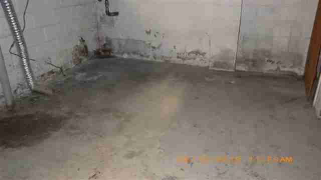 8326 Lauder basement 2.jpg